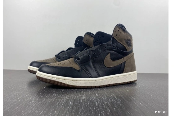 Jordan DZ5485-020 Retro  High Palomino 1  DZ5485-020 OG  0225